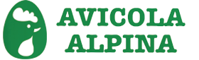 Avicola Alpina – Pollos Don Giulio